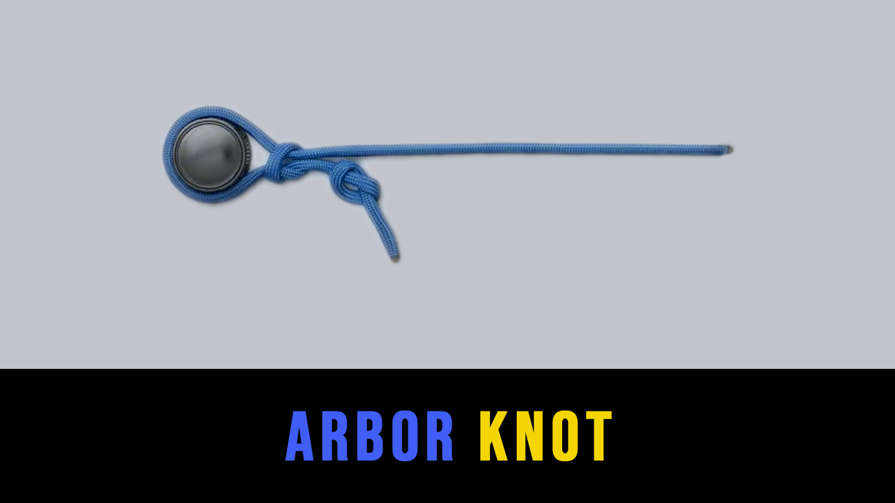 Arbor Knot